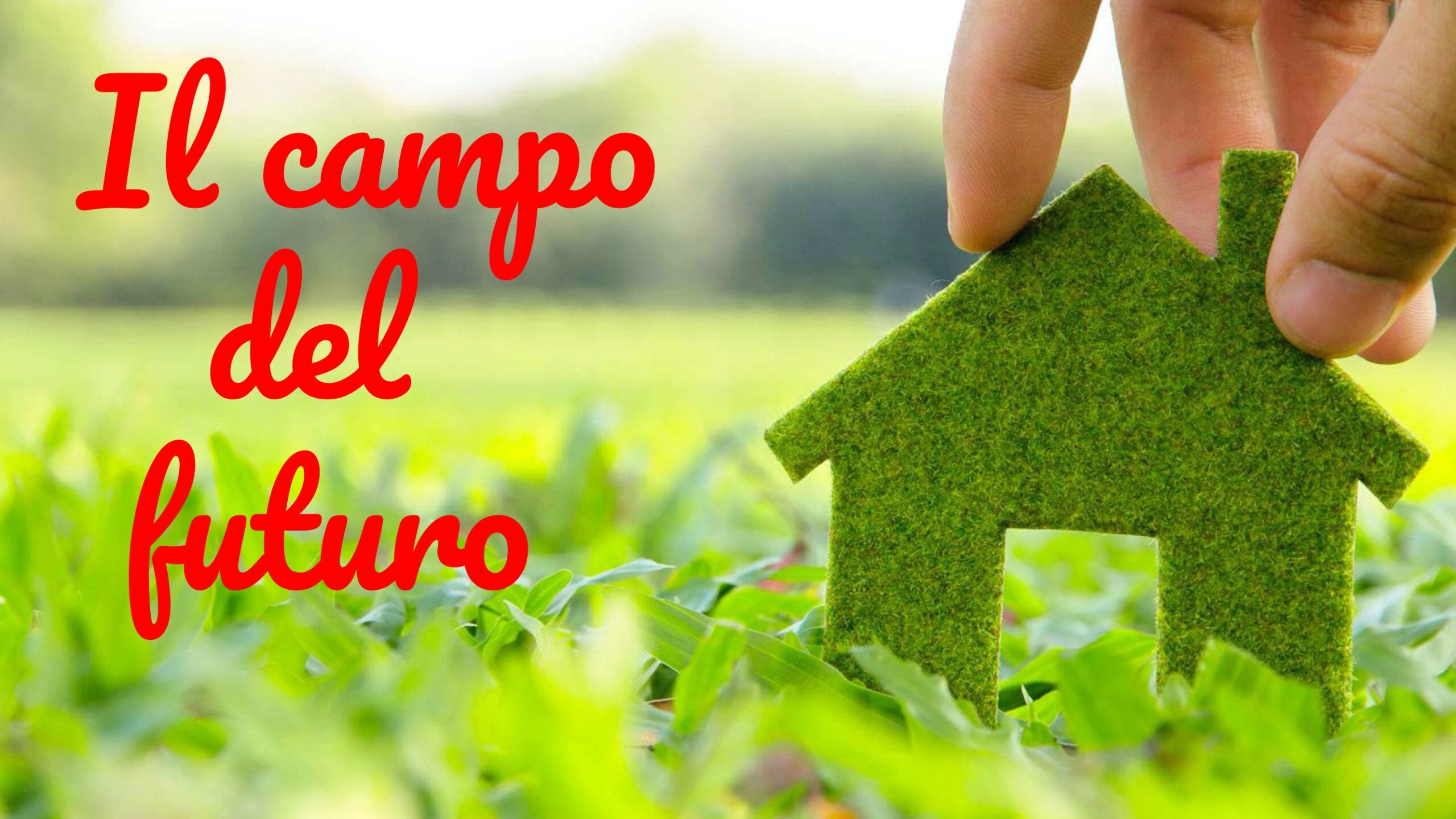 Il campo del futuro