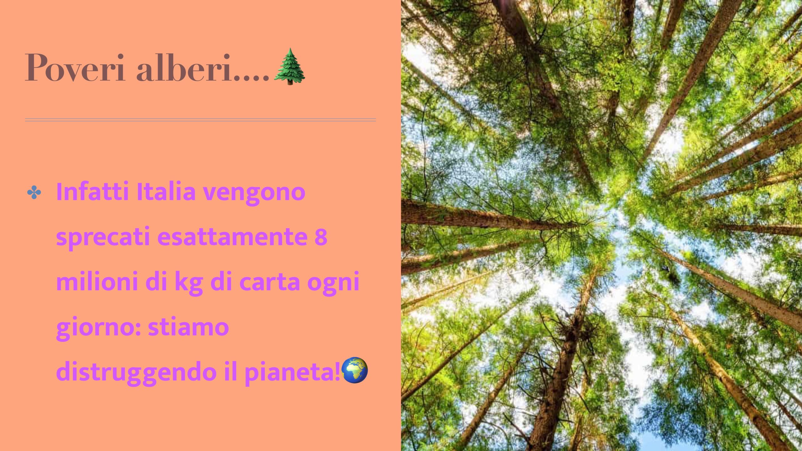 Un bagno da sballo 11