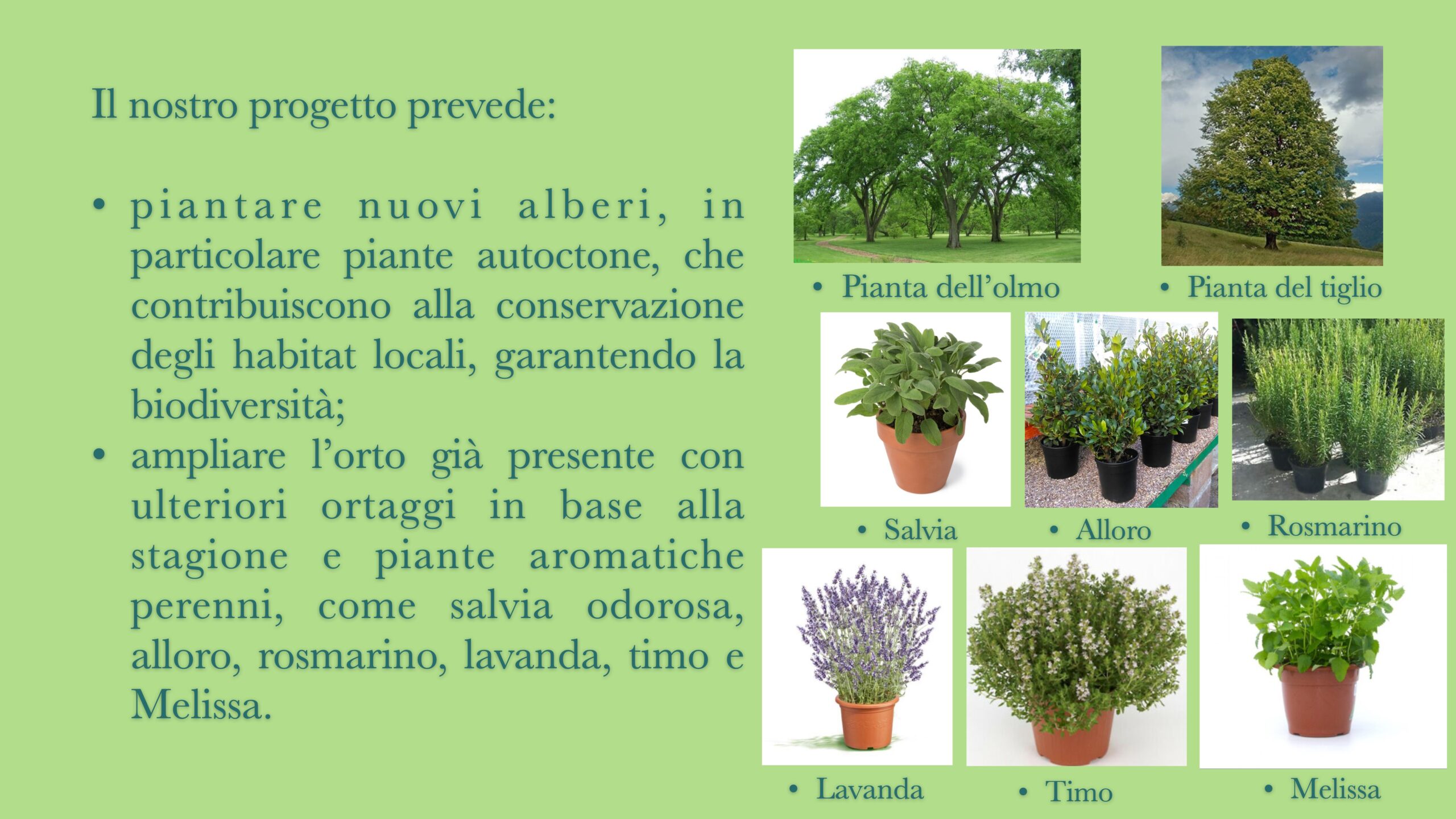 Un giardino da vivere 3