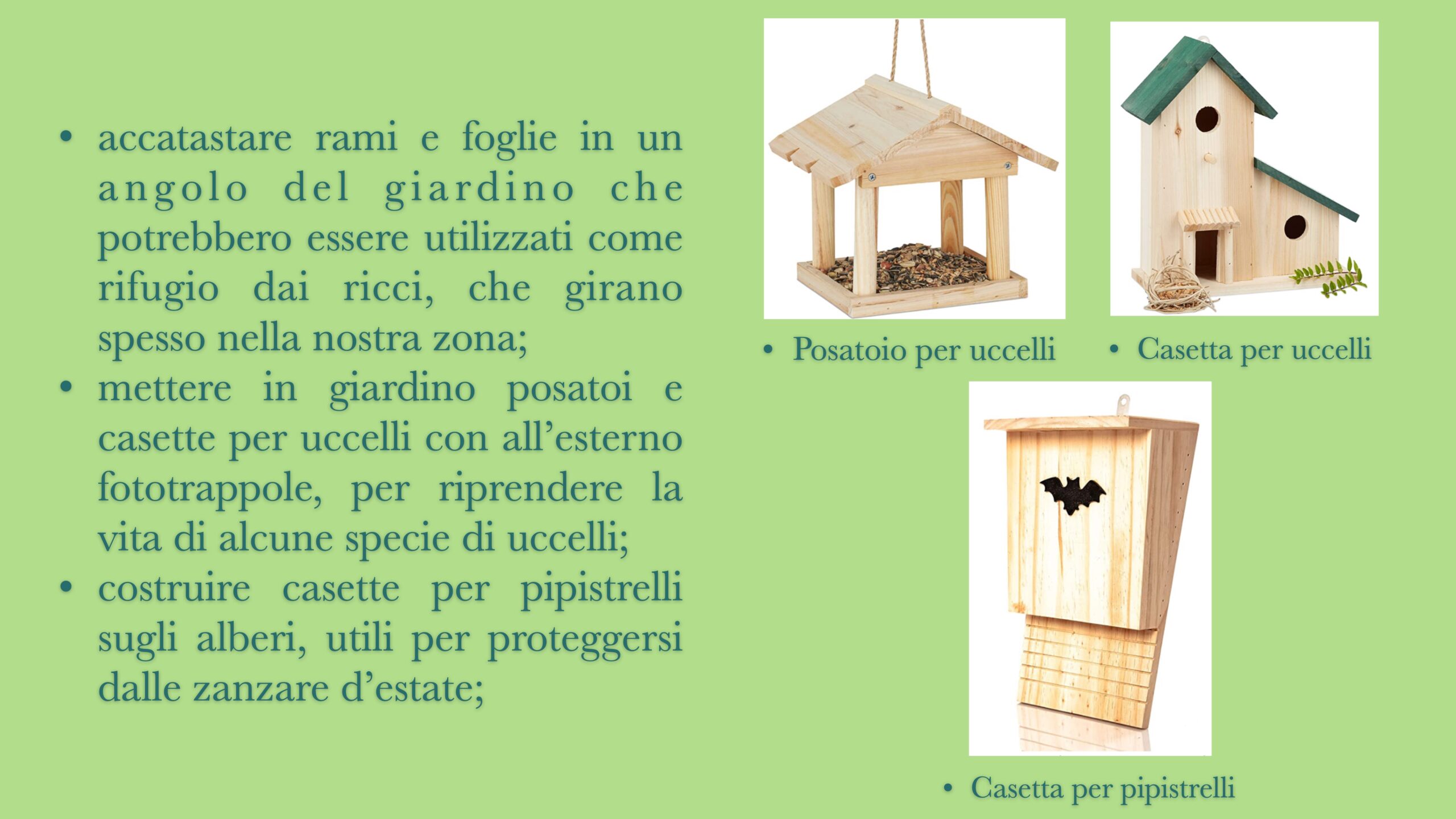 Un giardino da vivere 5