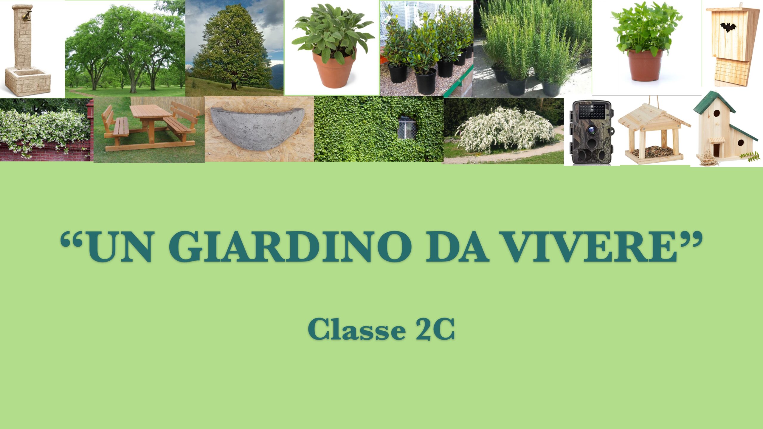 Un giardino da vivere
