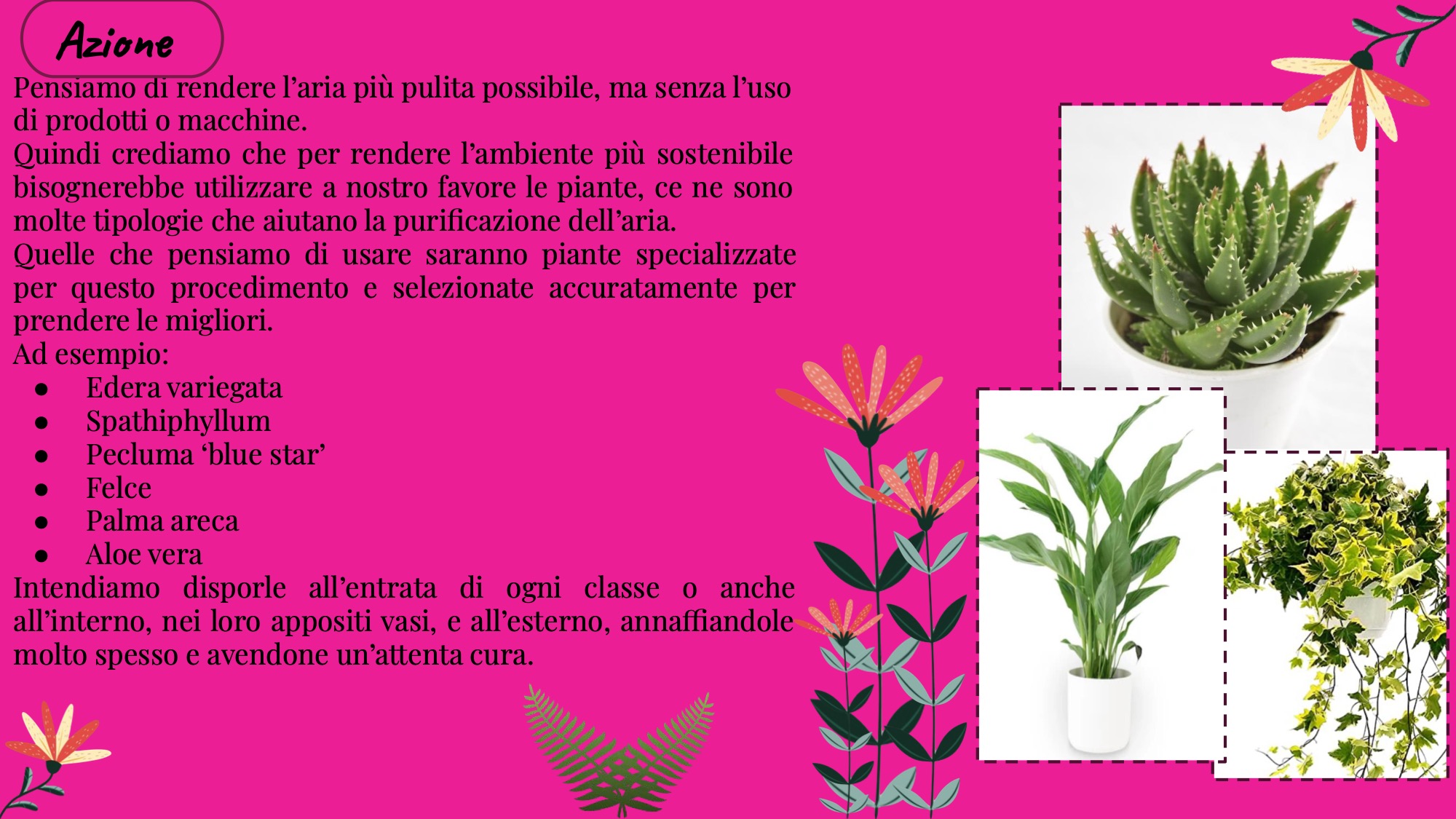 Una Scuola più verde 3