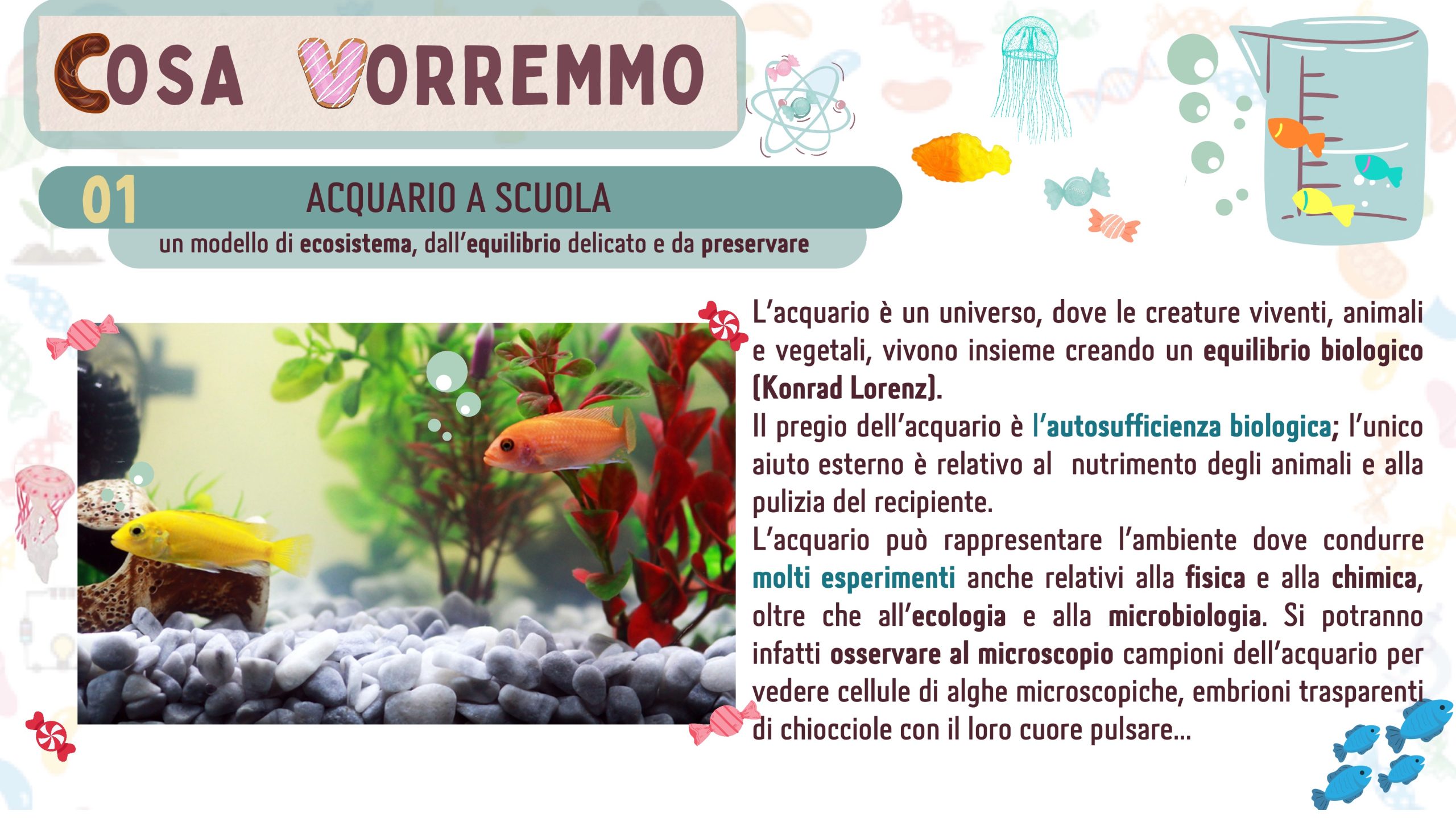 CIOCCOLAB_CLASSE2B_(versione_ridotta) 3